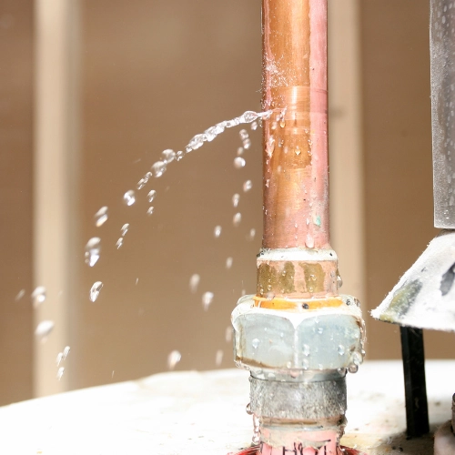 plumbing leak detection lone2